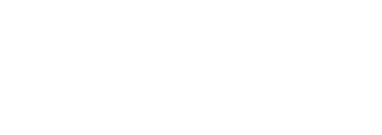 Mariners Sr High Logo
