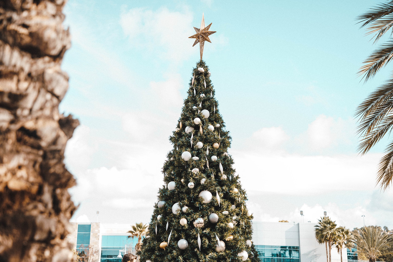 O Christmas Tree, O Christmas Tree? - Newport Beach News