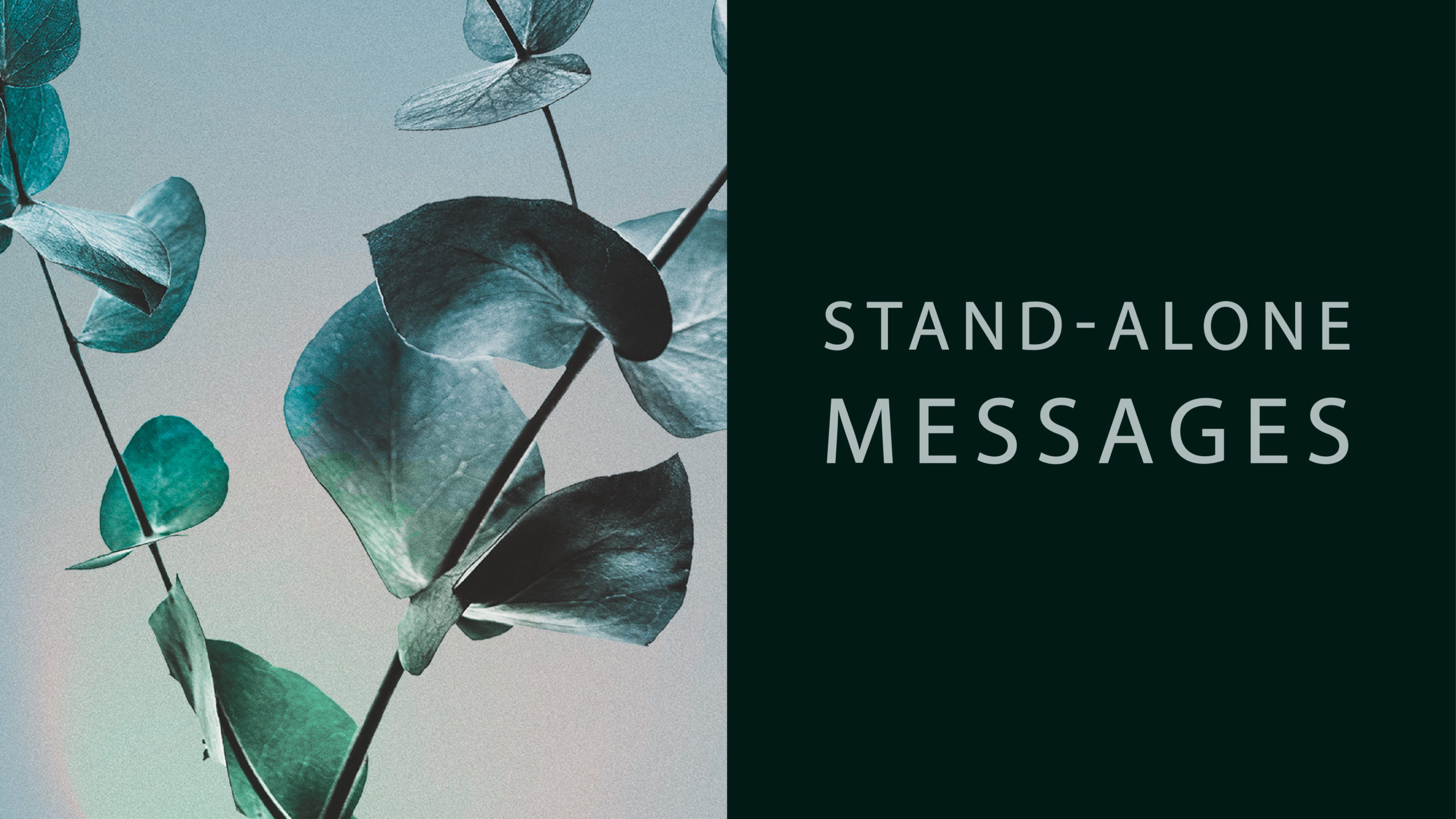 Standalone Messages Mariners Church