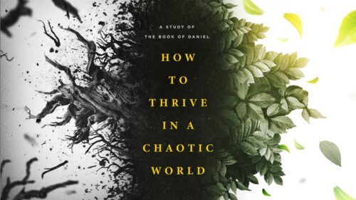 How to Thrive in a Chaotic World